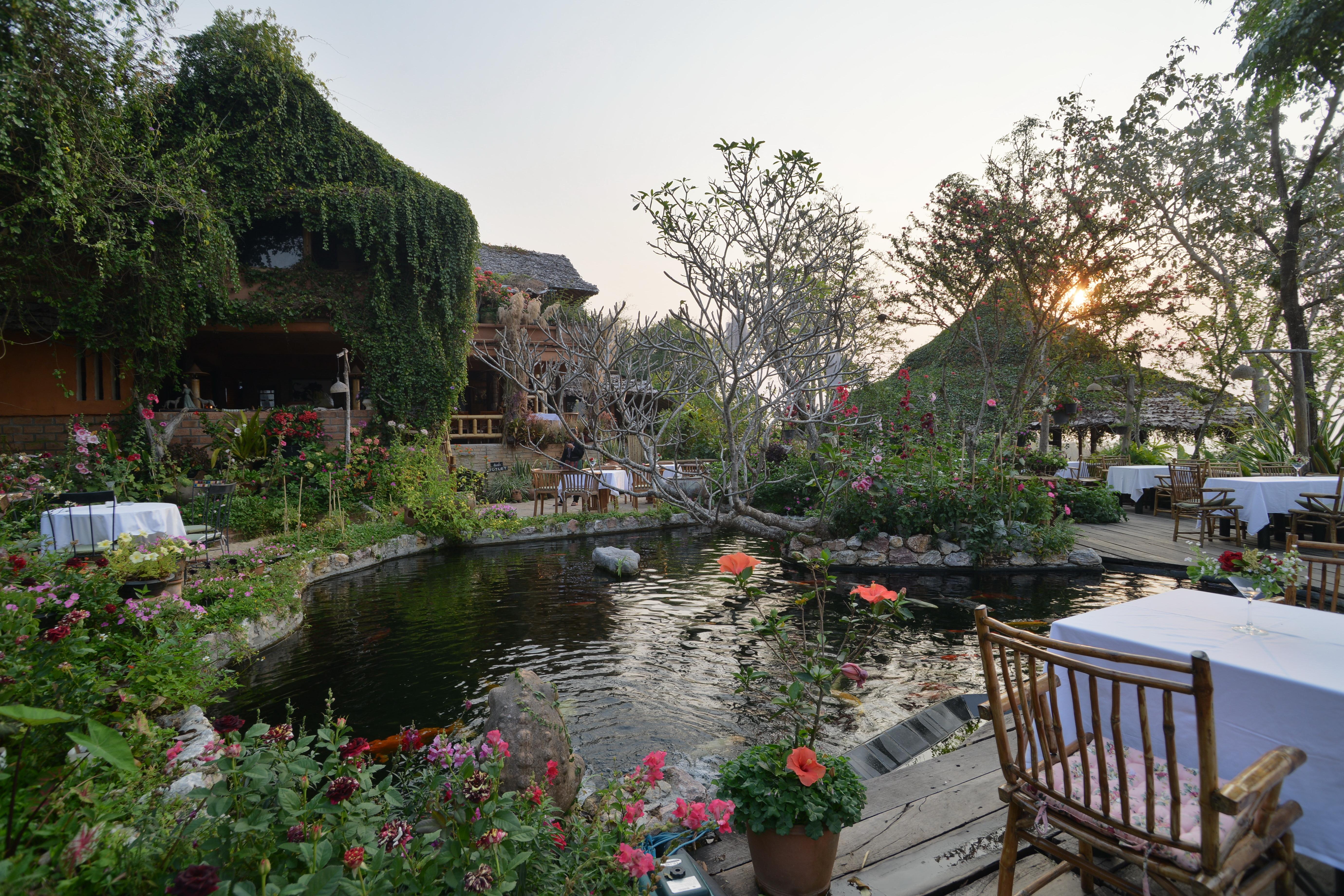 Phu Chaisai Mountain Resort Mae Salong Nai Extérieur photo